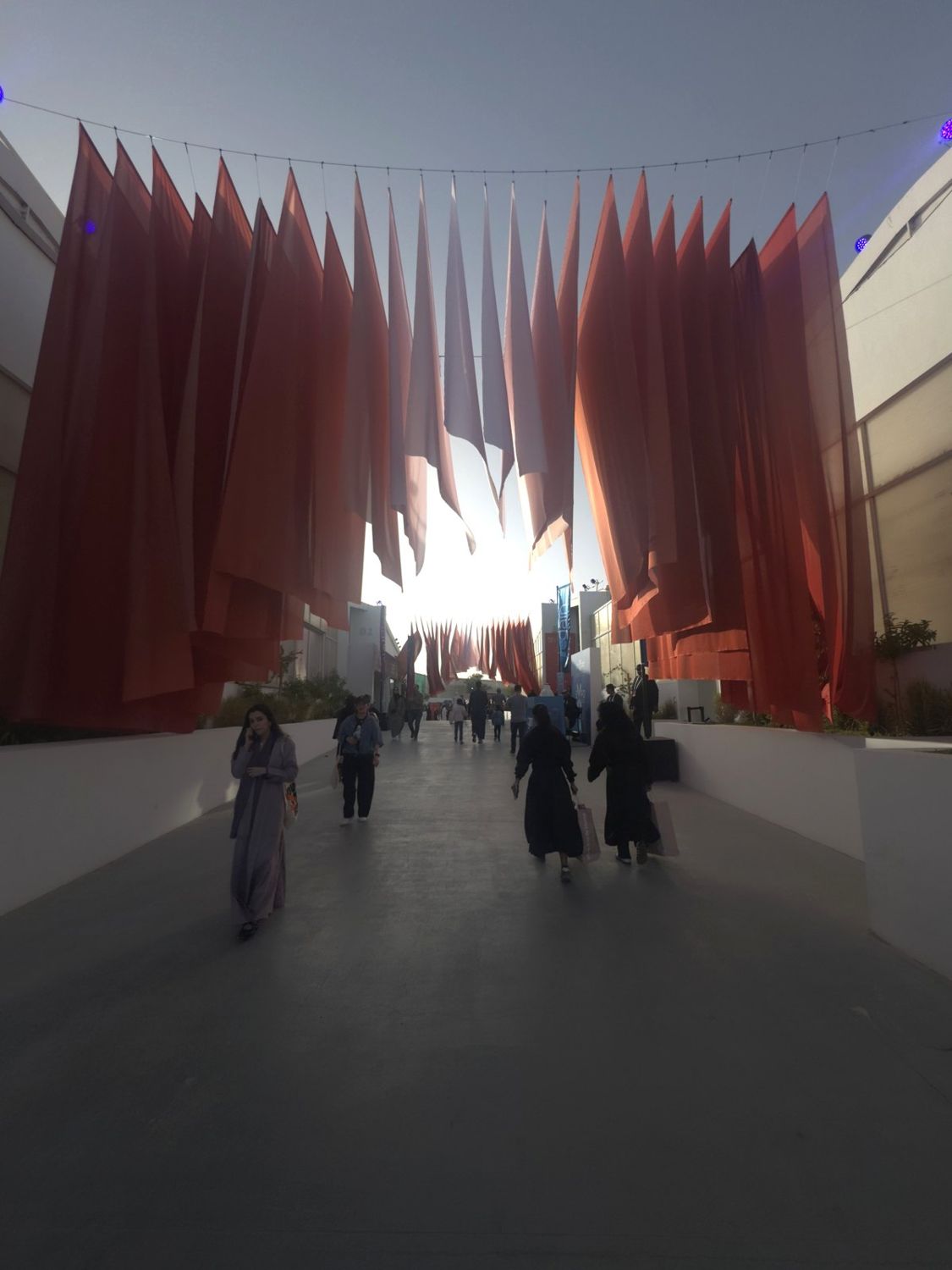 Flag canopy
